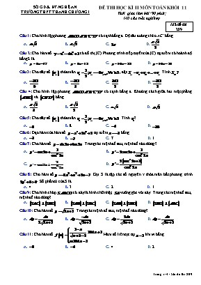 Đề thi học kỳ II môn Toán Lớp 11 - Mã đề 209 - Trường THPT Thanh Chương I